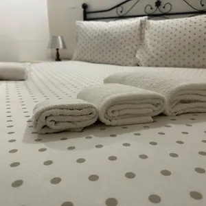 https://2-passi-dal-mare-di-ampio-trilocale.hotelitalianriviera.com